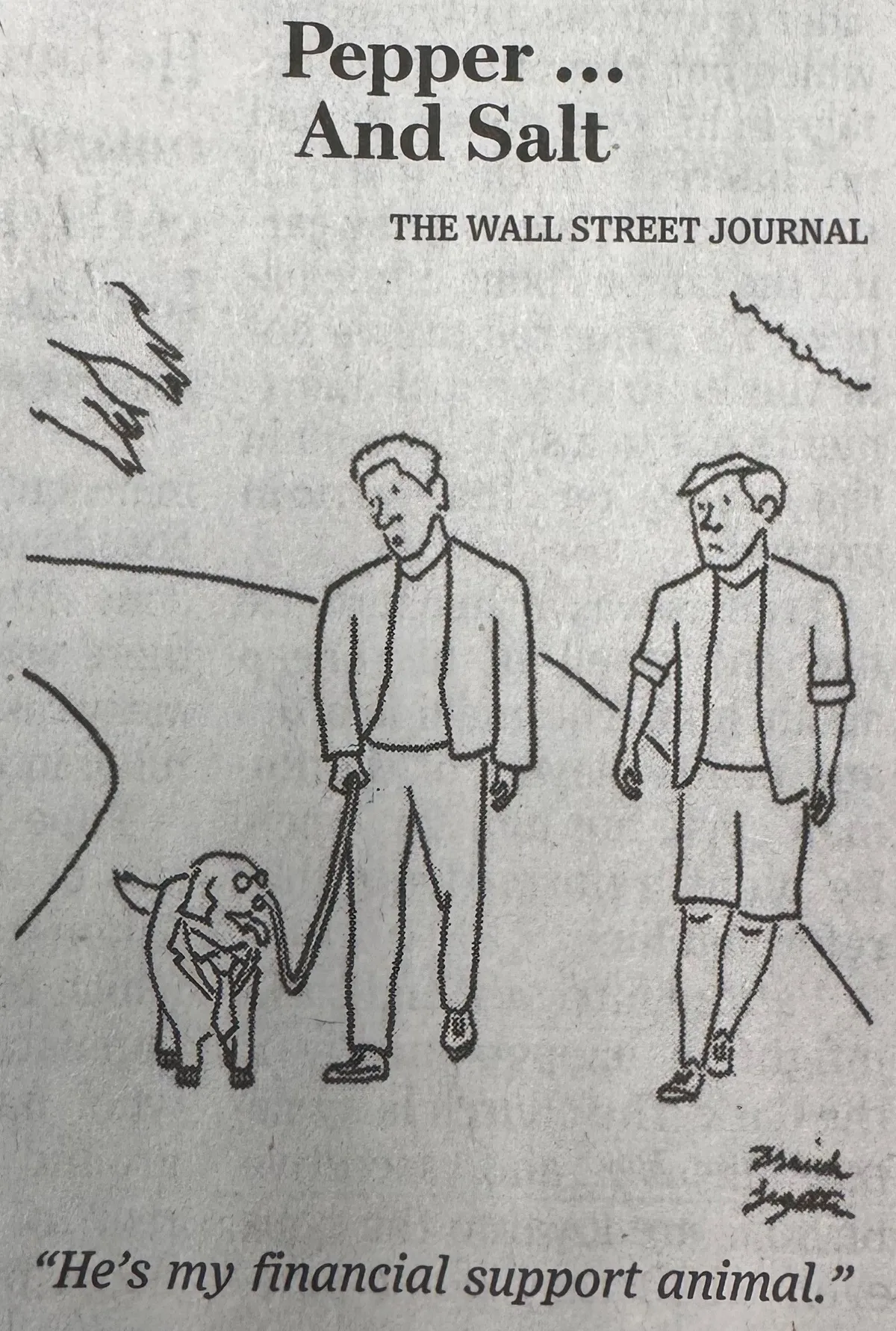Pepper and Salt | Financial Comics