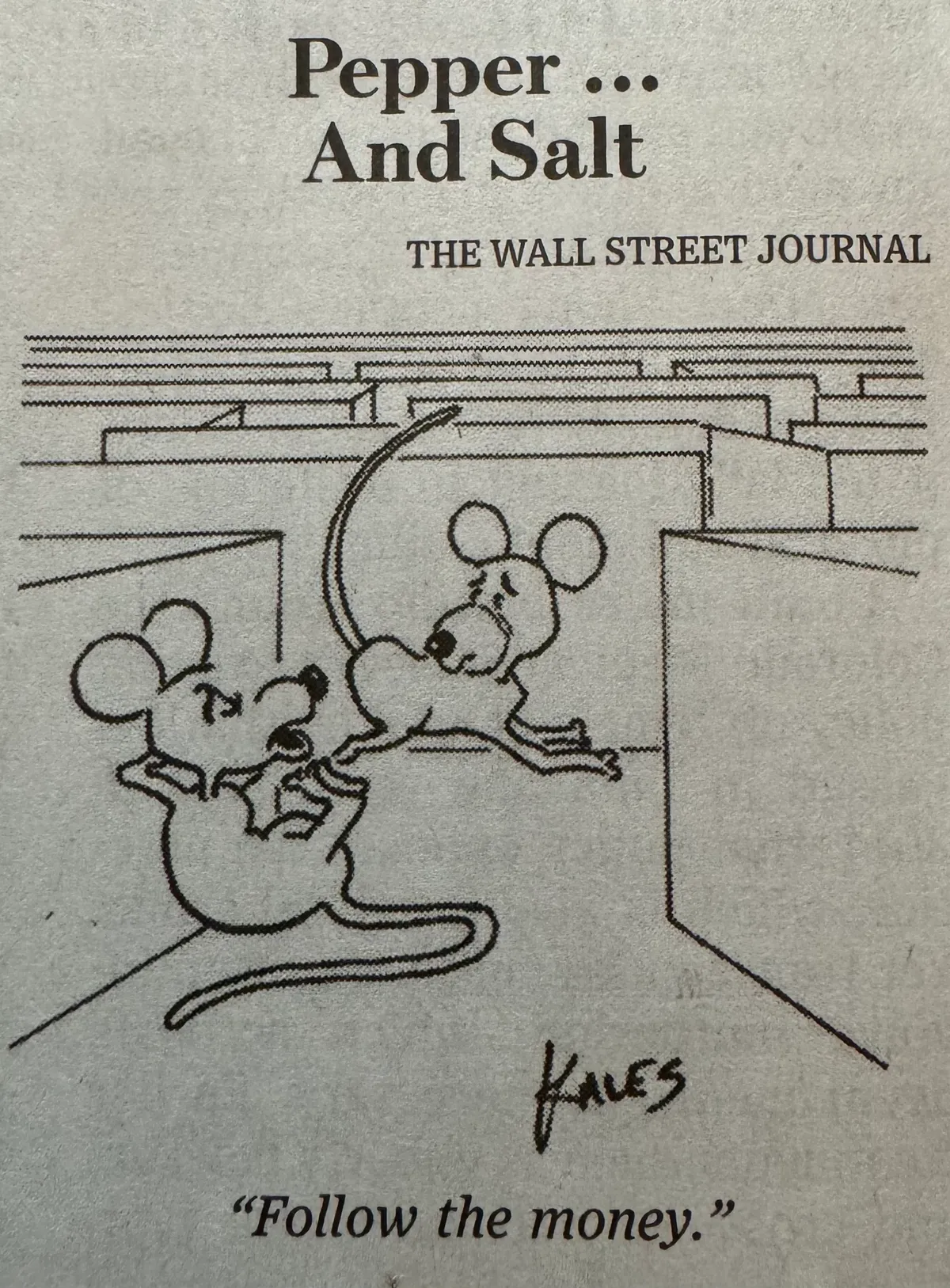 Pepper and Salt, The Wall Street Journal Financial Comics. Follow the money.